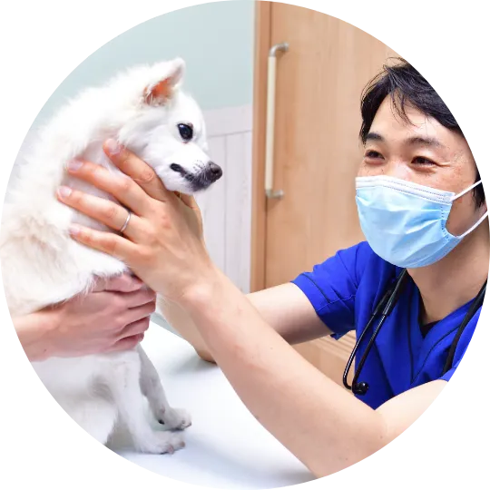 負担の少ない優しい治療