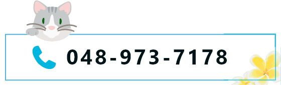 048-973-7178